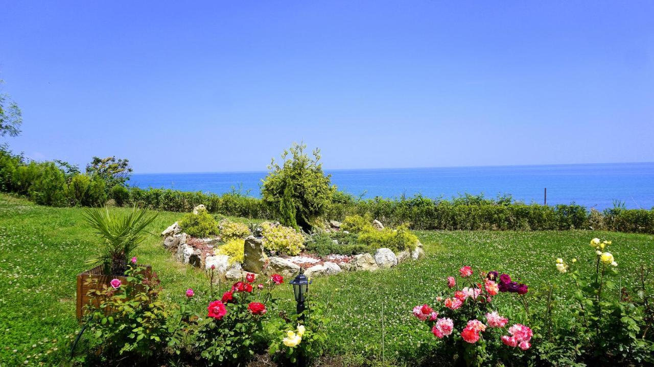 Бяла Клиф Форест - Byala Cliff Forest Ngoại thất bức ảnh